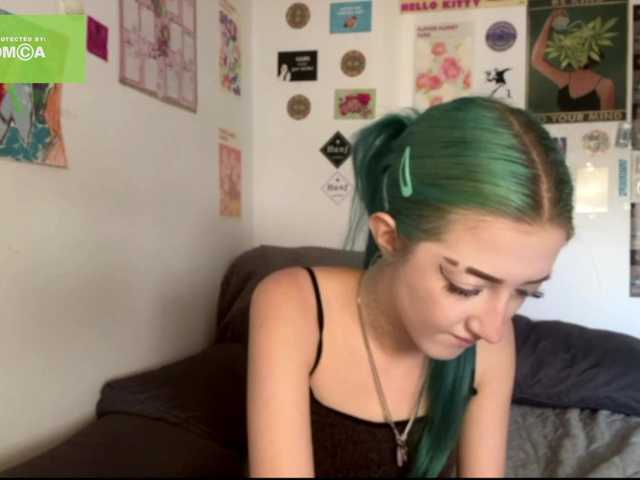 karolinawild