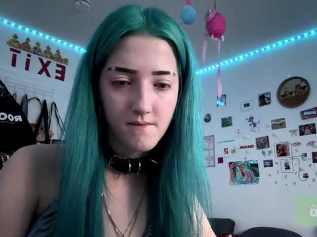 karolinawild