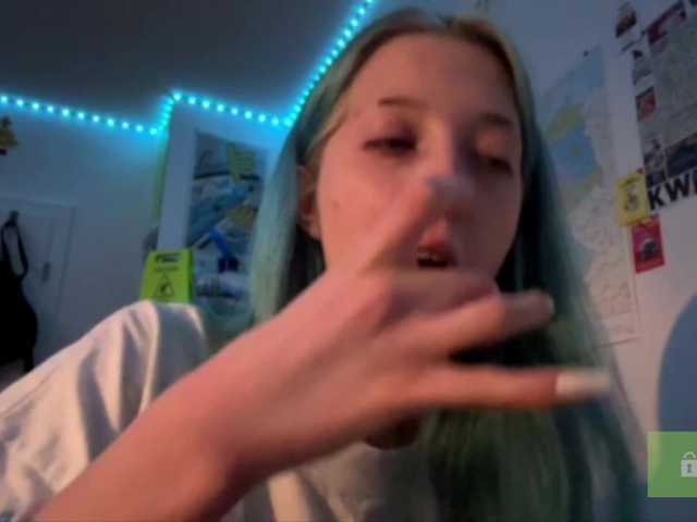 karolinawild
