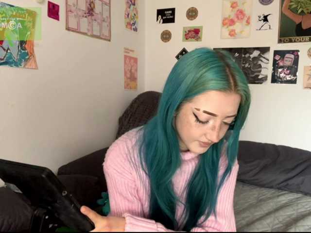 karolinawild