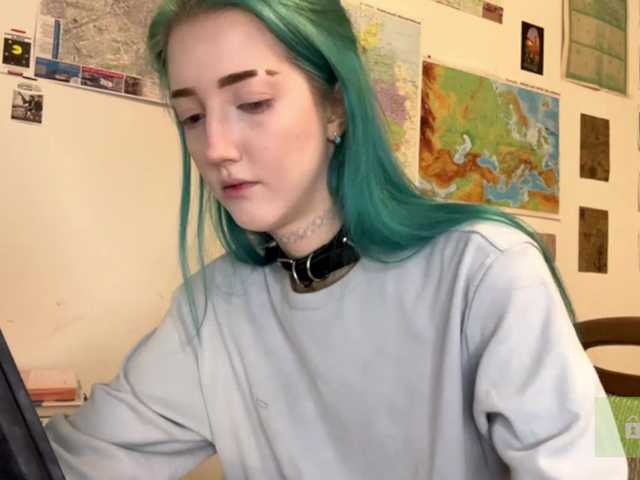 karolinawild