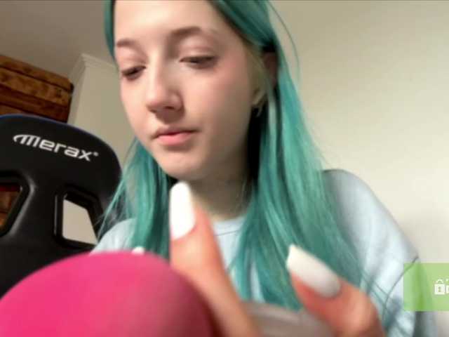 karolinawild belle show