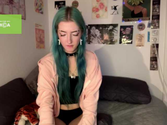 karolinawild