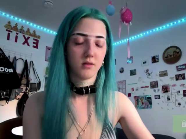 karolinawild