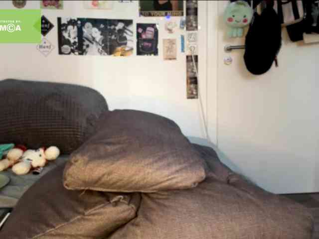 karolinawild webcam
