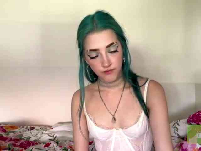 karolinawild webcam
