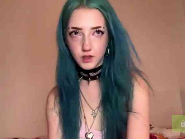 karolinawild webcam