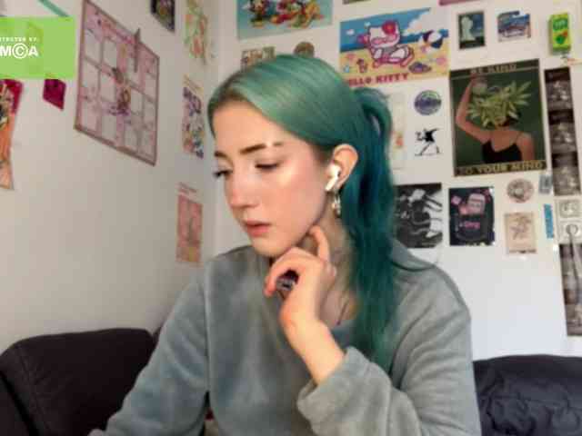 karolinawild webcam