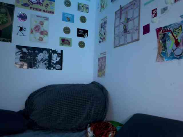 karolinawild webcam