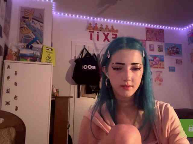 karolinawild webcam