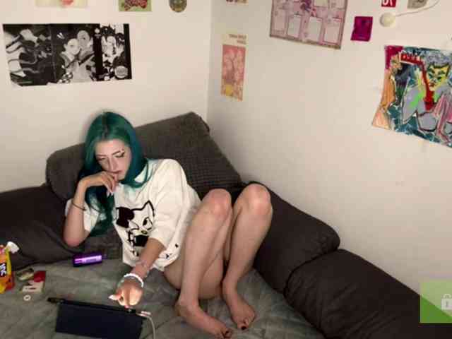 karolinawild webcam