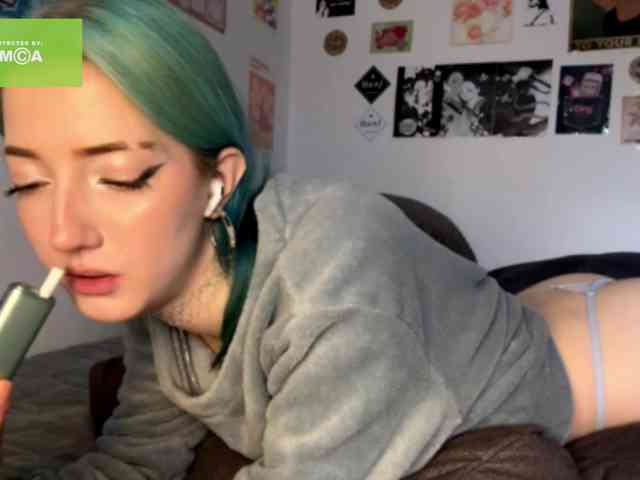 karolinawild webcam