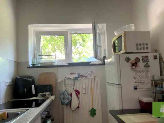 karolinawild webcam