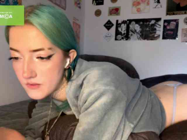 karolinawild webcam