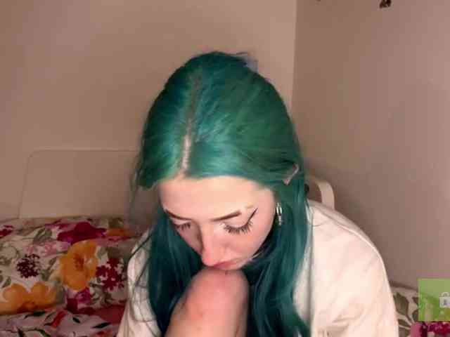 karolinawild webcam