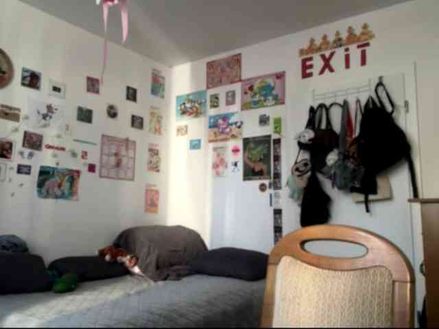 karolinawild webcam