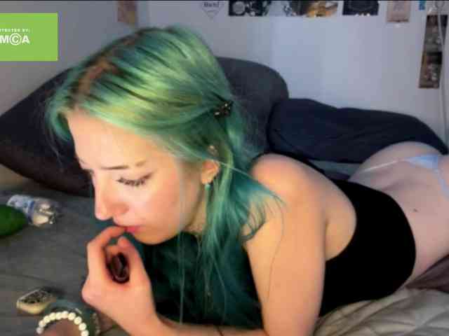 karolinawild webcam