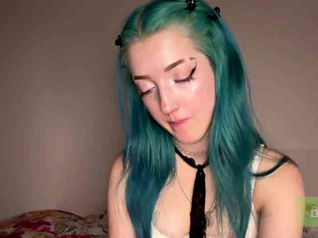 karolinawild webcam