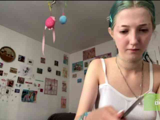 karolinawild webcam