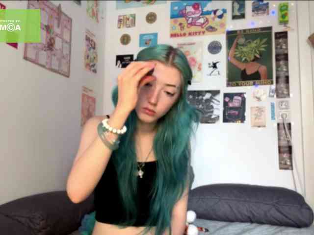karolinawild webcam