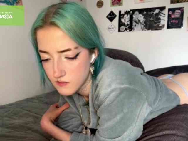karolinawild webcam