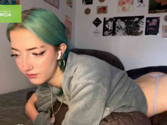 karolinawild webcam