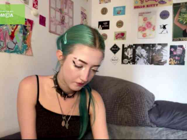 karolinawild webcam