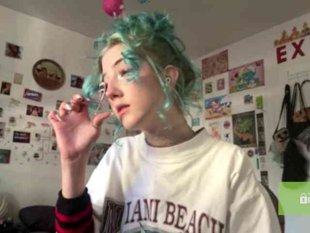 karolinawild webcam