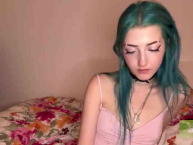 karolinawild webcam