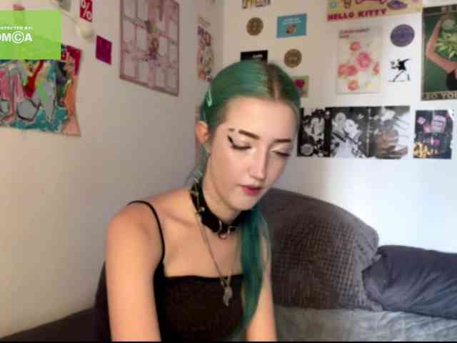 karolinawild webcam