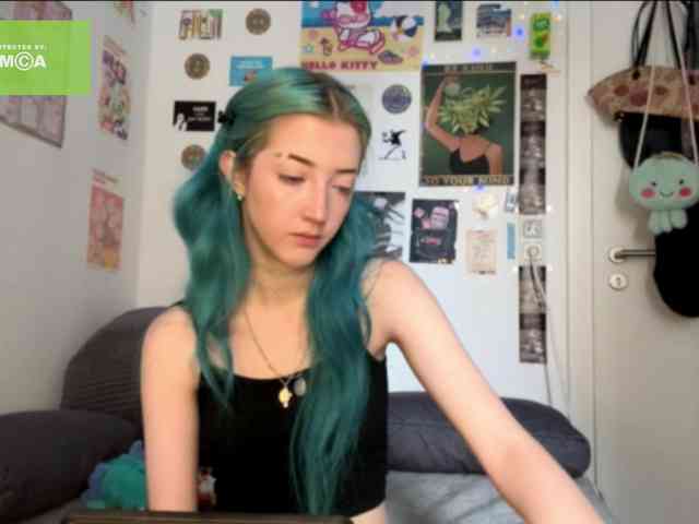 karolinawild webcam