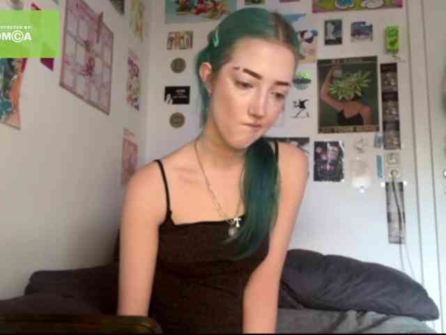 karolinawild webcam
