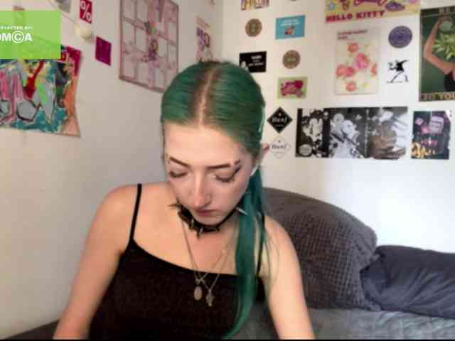 karolinawild webcam