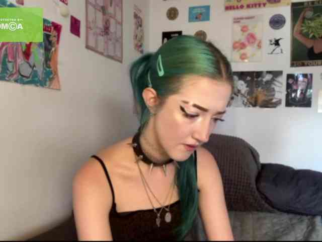 karolinawild webcam