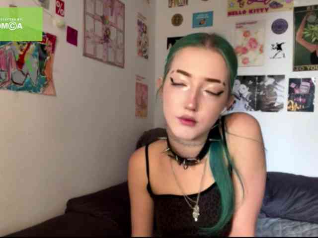 karolinawild webcam