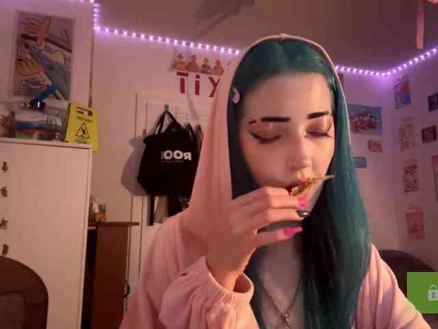 karolinawild webcam