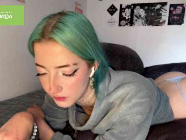 karolinawild webcam