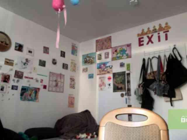 karolinawild webcam