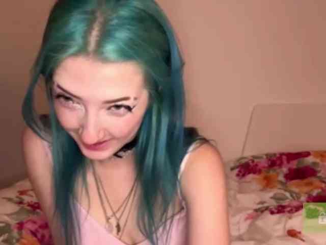 karolinawild webcam