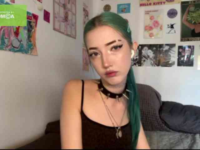 karolinawild webcam