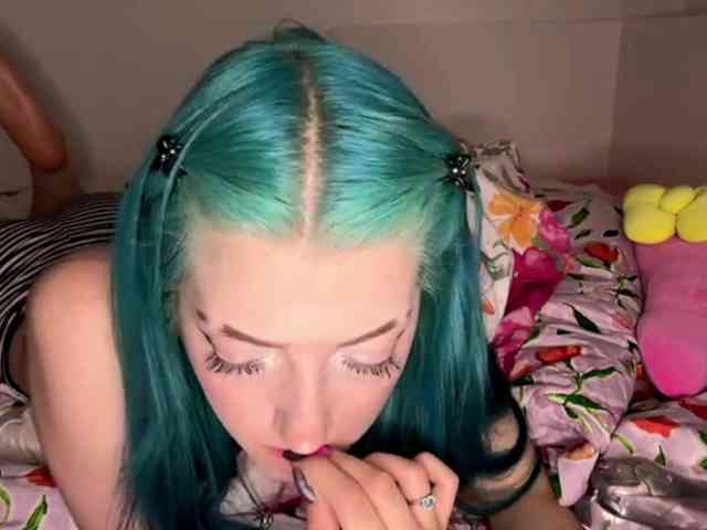 karolinawild webcam