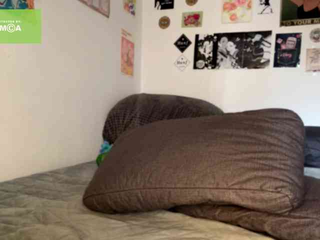 karolinawild webcam