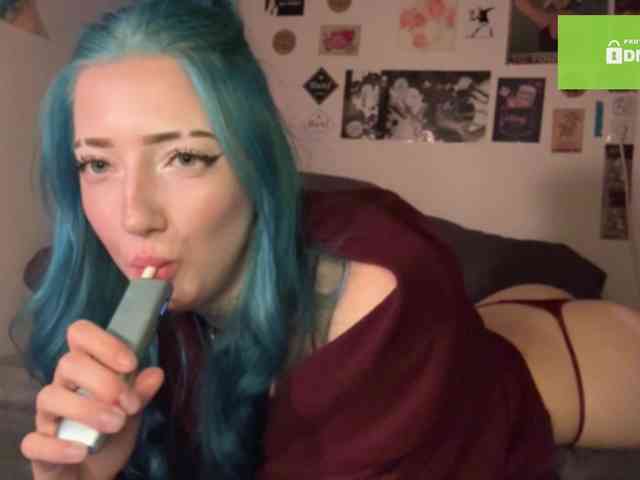 karolinawild webcam