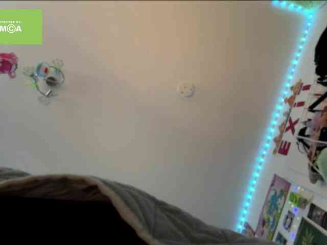 karolinawild webcam