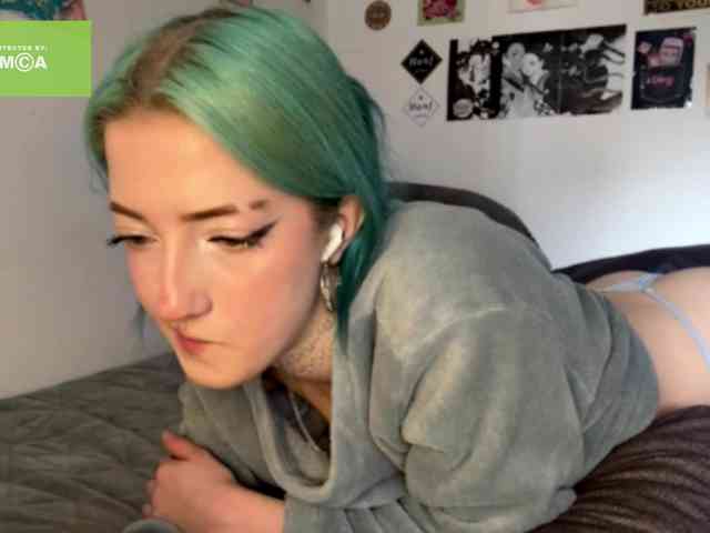 karolinawild webcam