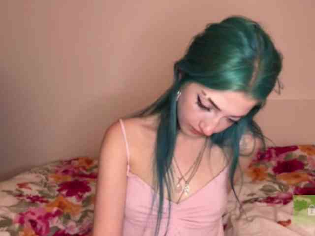 karolinawild webcam