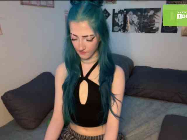karolinawild webcam