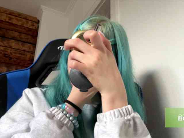 karolinawild webcam