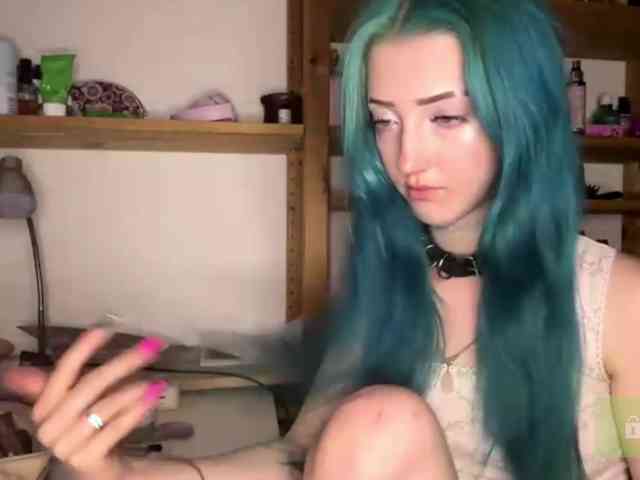 karolinawild webcam