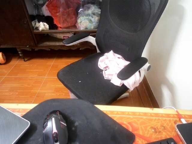Siam-sexyy live cam on BongaCams